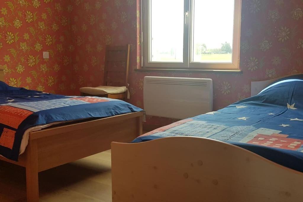 Le Mimosa, Maison De Vacances Trans Eksteriør billede